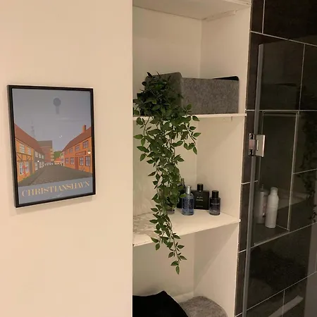 Daire Cozy Near Tivoli & Nyhavn Kopenhag